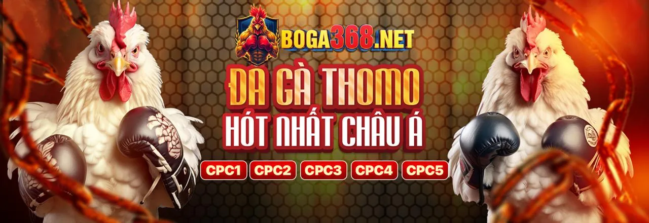 Chính sách Bảo mật J8BET, bảo vệ dữ liệu người dùng khi cá cược trực tuyến